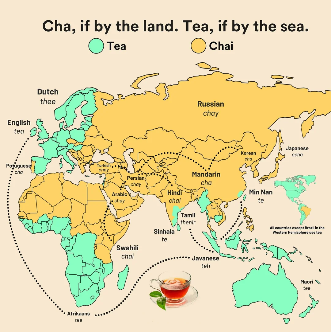 Tee vs. Chai